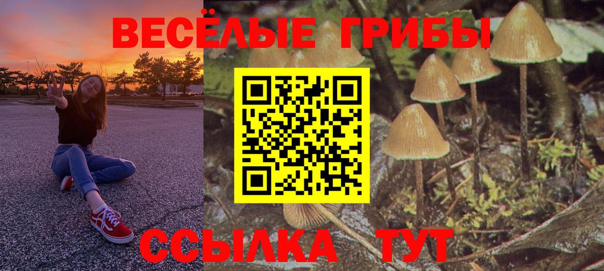 Псилоцибиновые грибы Psilocybe  Вход с VPN  Галлюциногенные грибы ЛСД  Щёкино 