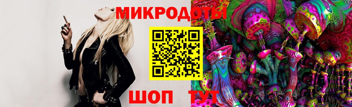 Галлюциногенные грибы Psilocybe Щёкино